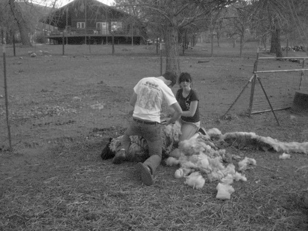 26035_1401583478781_3767957_n