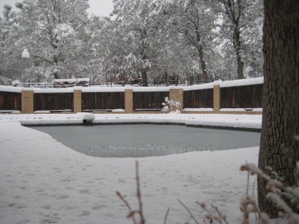 1351_1081807484581_3078_n