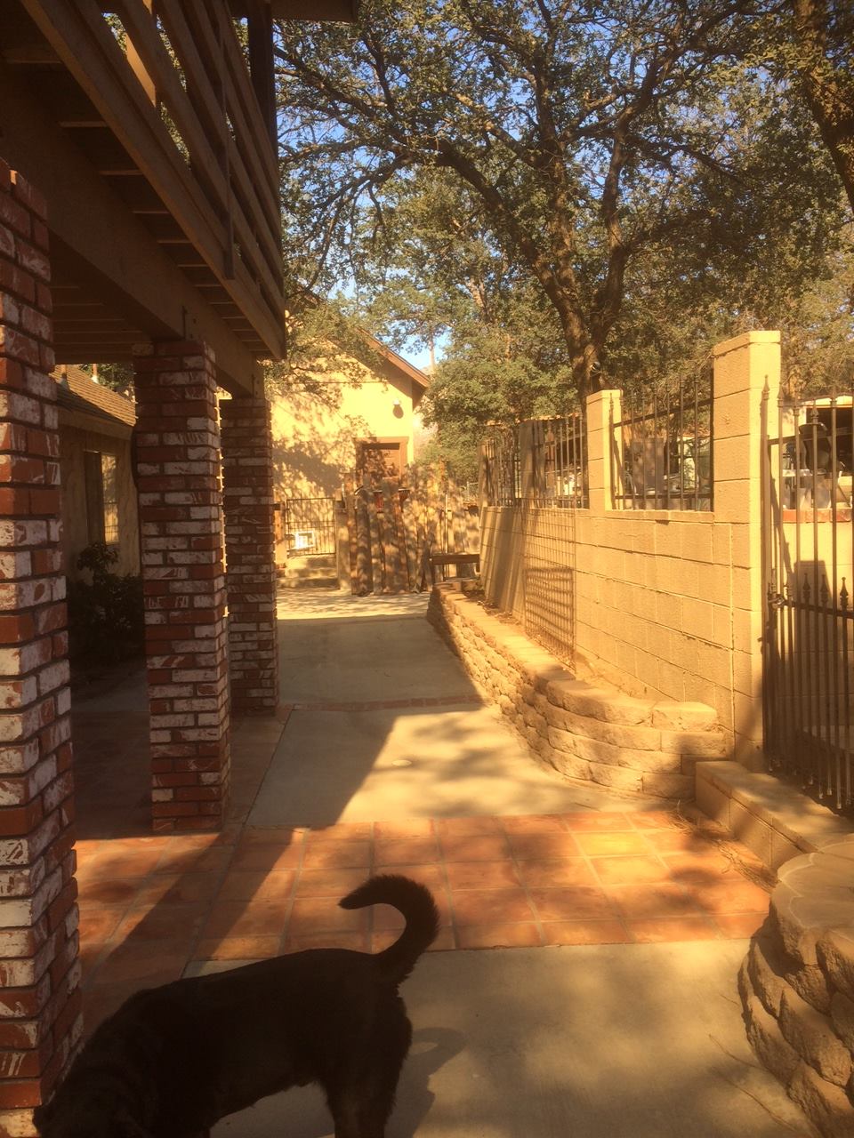 13575947_10210028938859201_6734936849619734456_o