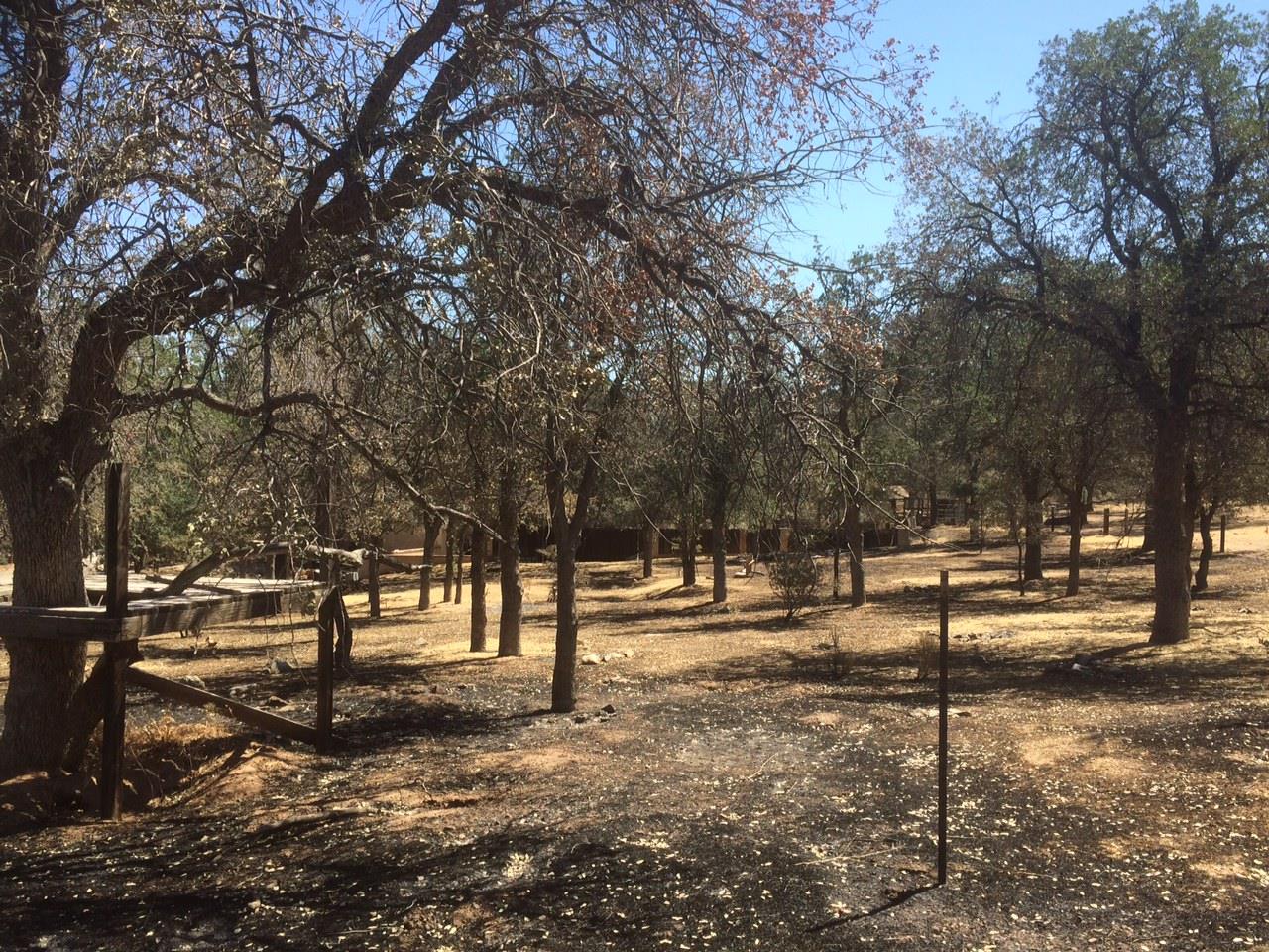 13576845_10210028945379364_6614819413000359036_o