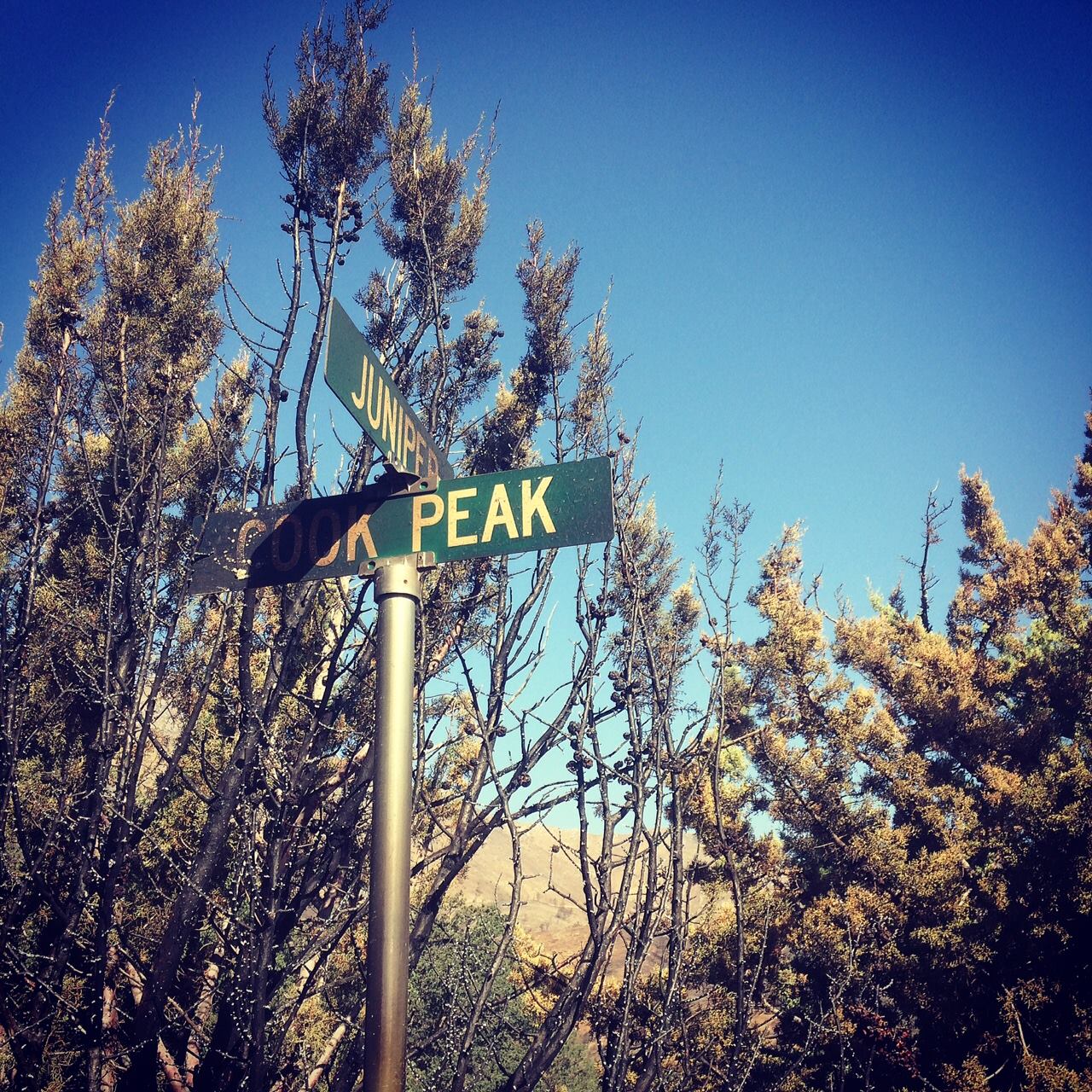 13580451_10210028944779349_3444058406782049097_o