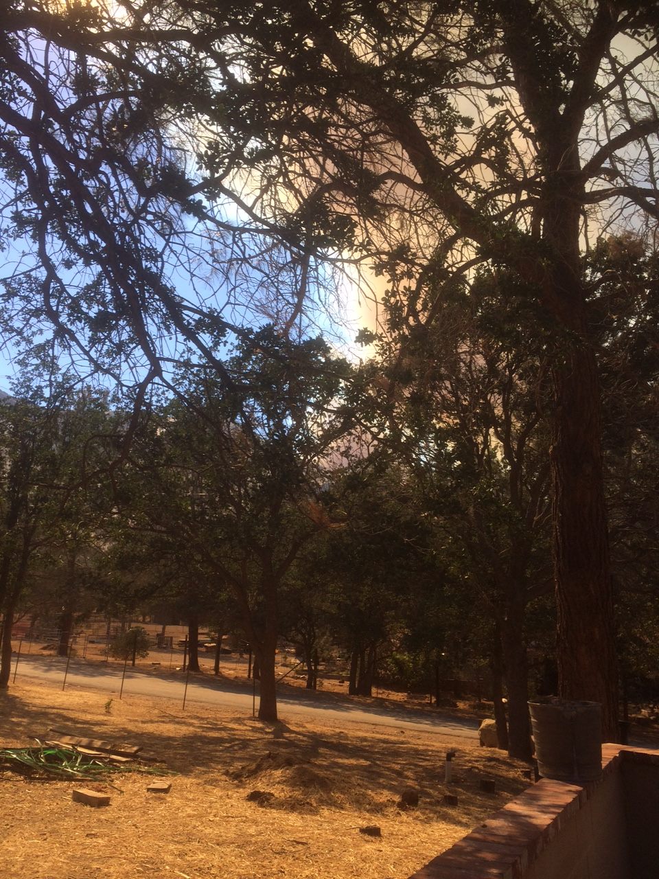 13584661_10210028939139208_3318434053220777763_o