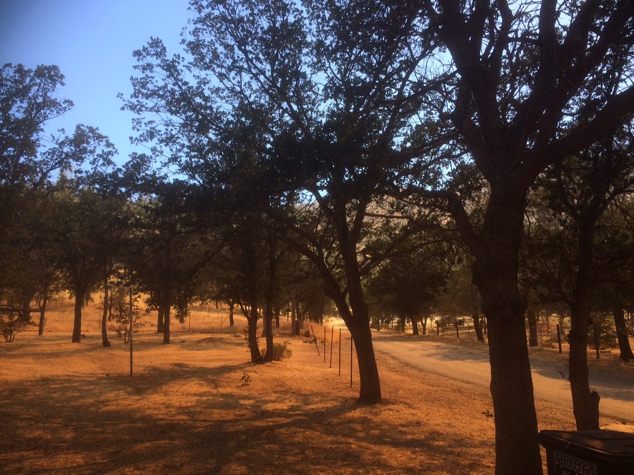 13584893_10210028939019205_1790215493461251156_o