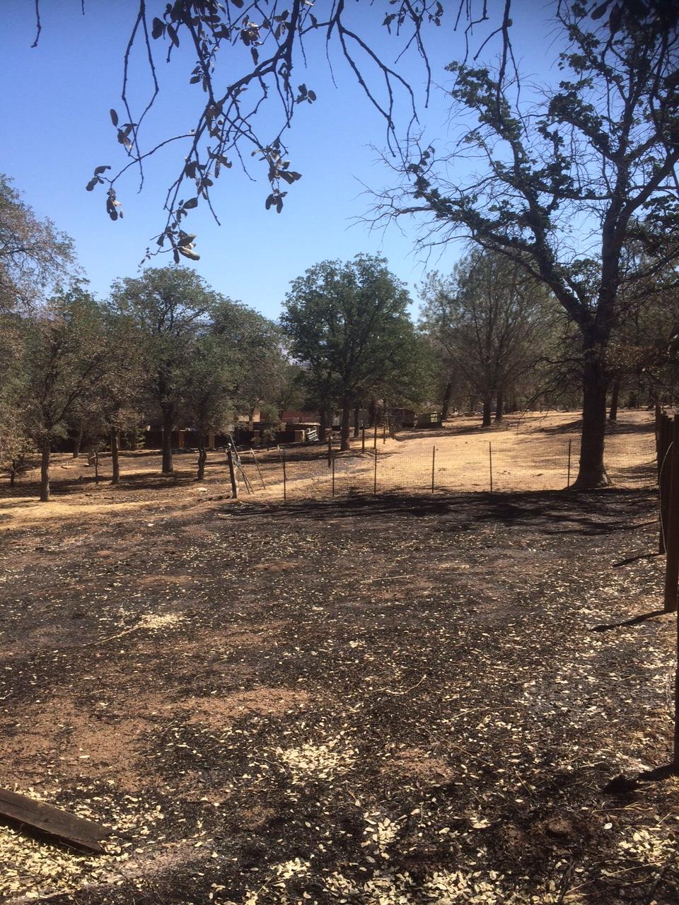 13585176_10210028944819350_3505755394784981885_o