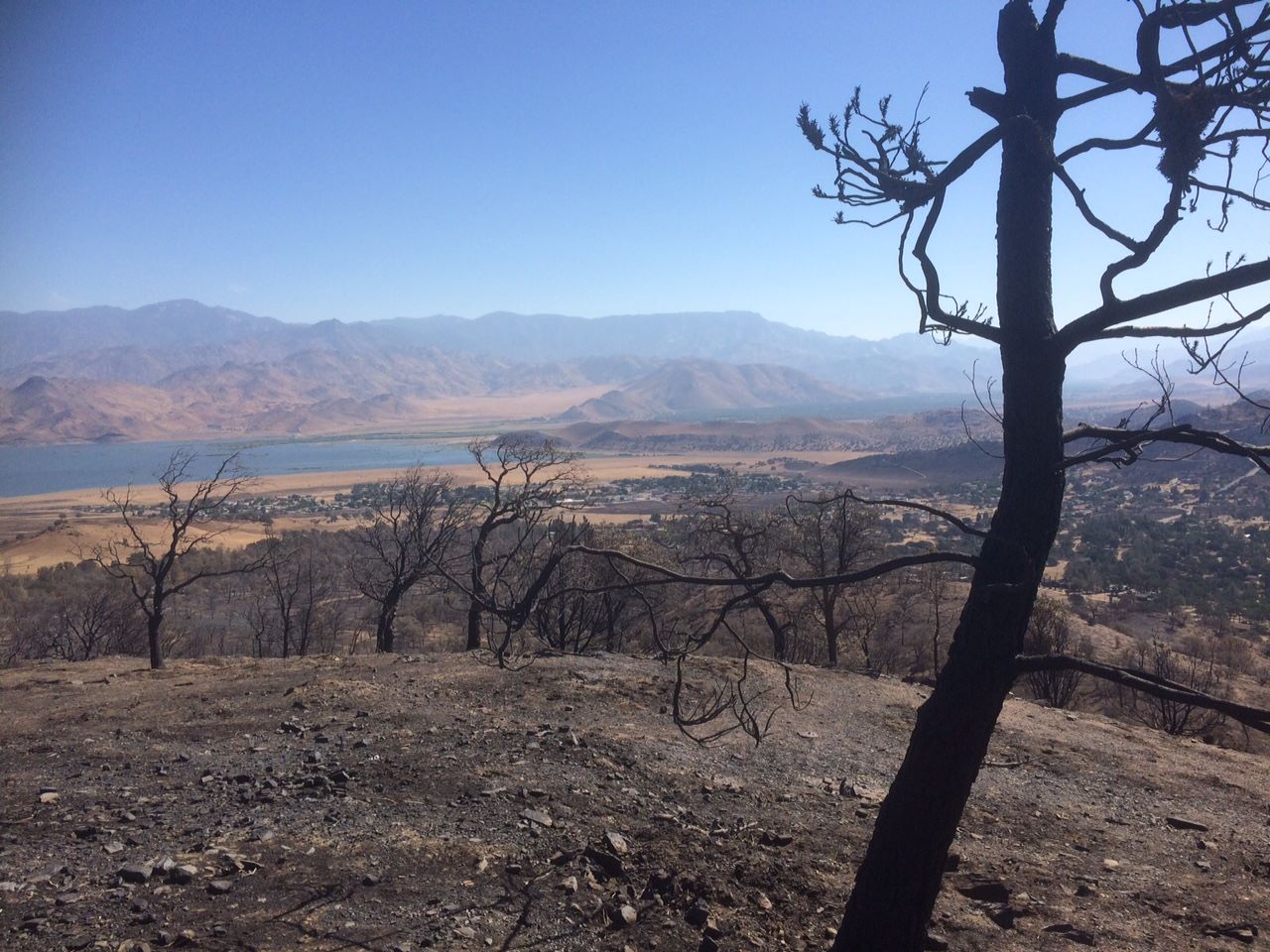 13603238_10210028945699372_8441330614140135198_o