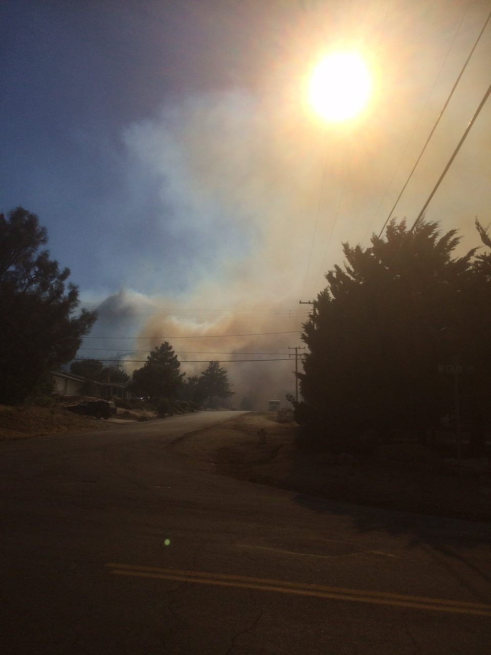 13603469_10210028940939253_2948887913001831162_o