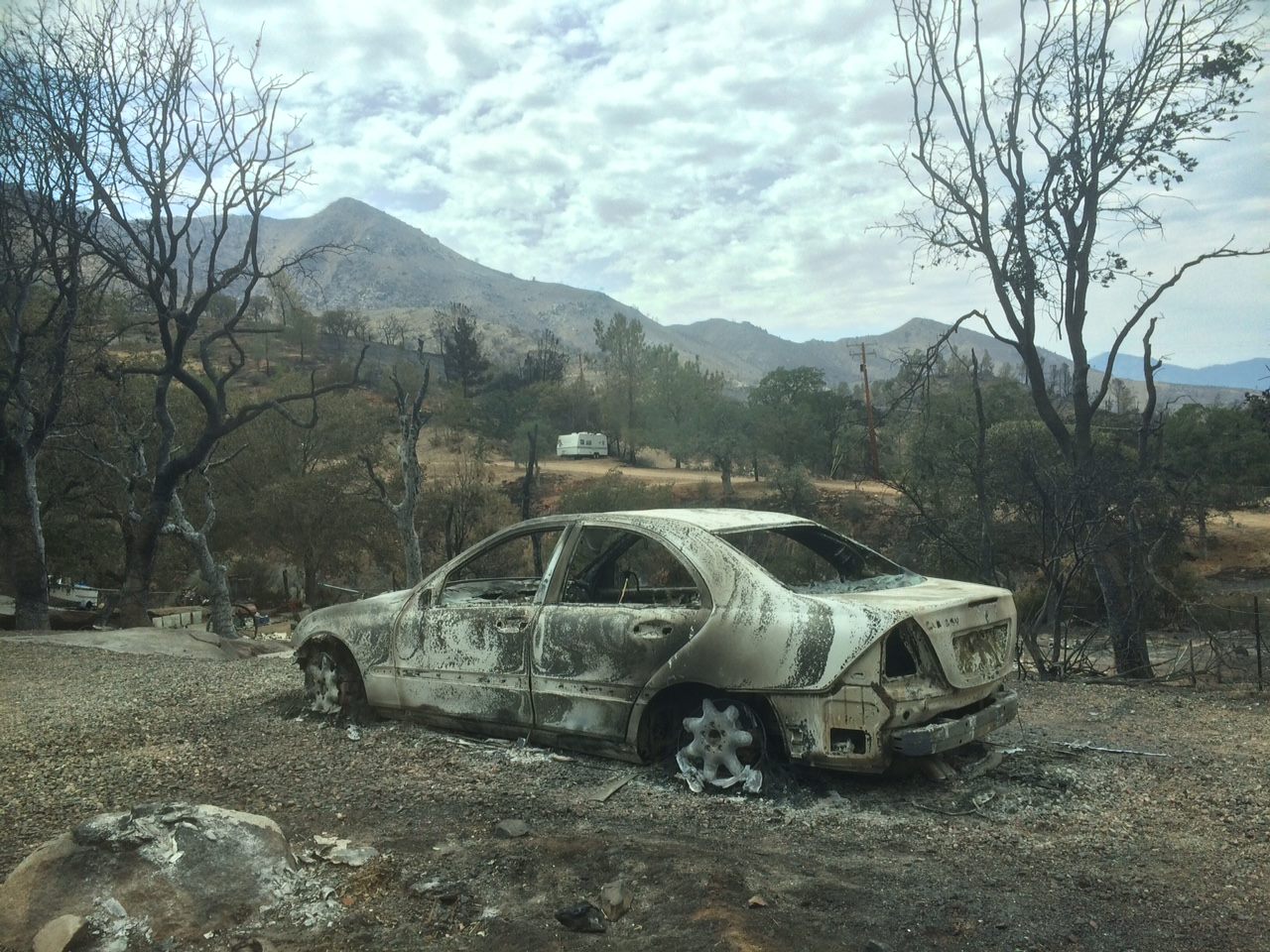 13613113_10210028944619345_701816643790612528_o