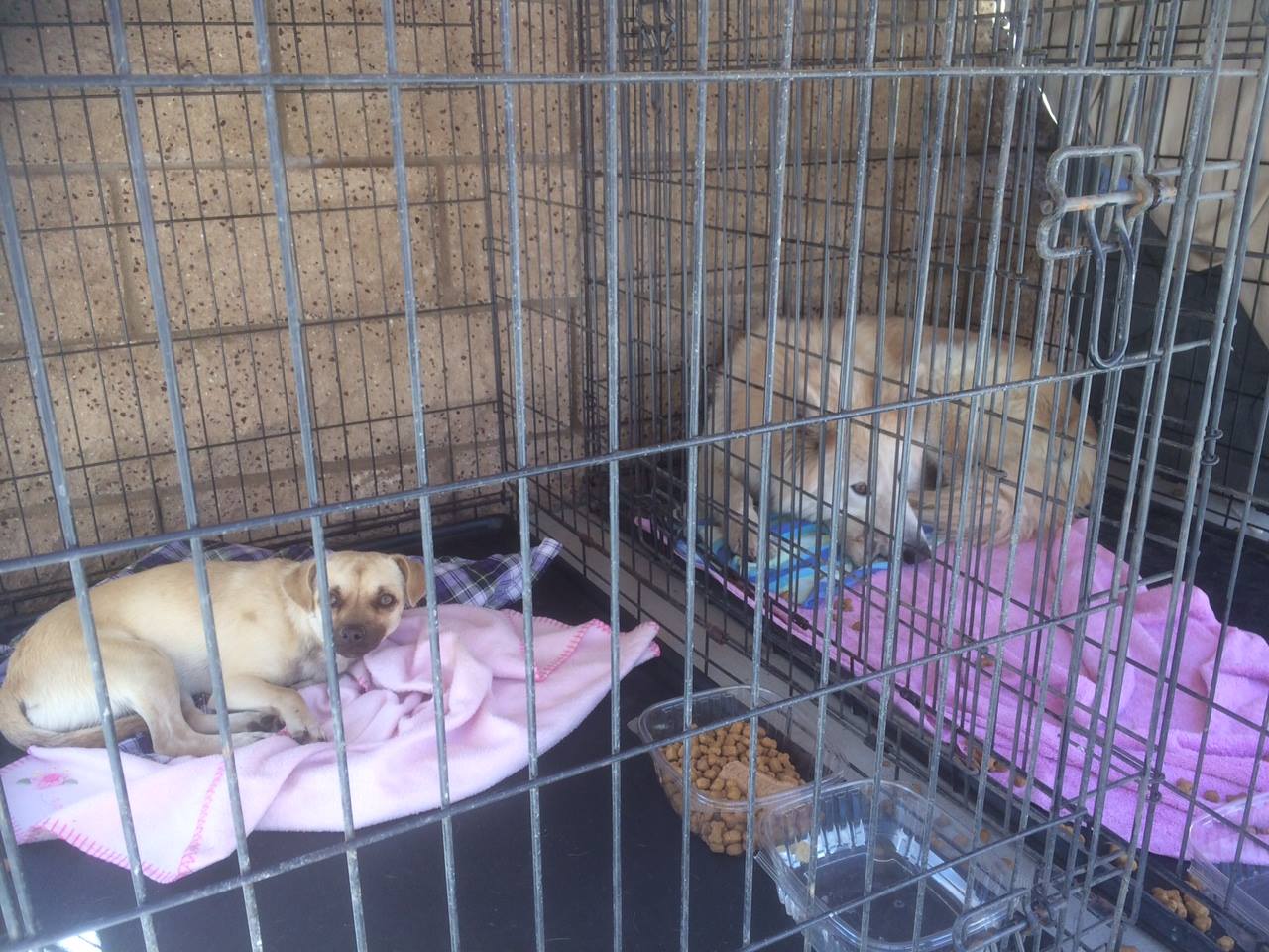 13613512_10210028943579319_7384316095486134190_o